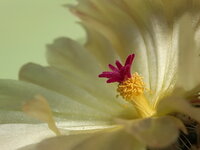 DSCF0813m.jpg