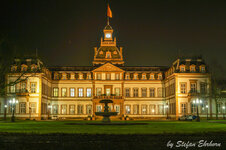 DSC05171.jpg