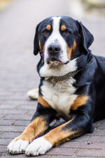 20130623-DSC06130.jpg