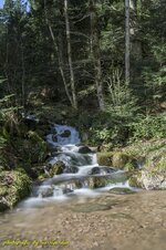 _D3S0697a.jpg
