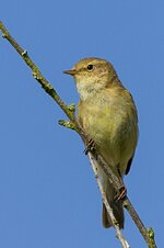 IMG_5848_skaliert.jpg
