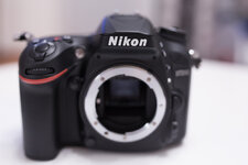 DIM_6338-1.jpg