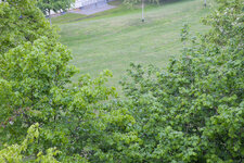 DSCF5005dngdslr.jpg