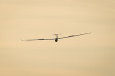 DSC_1056.jpg