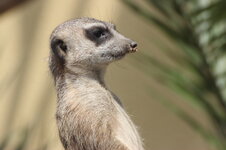 IMG_8117 - Kopie.JPG