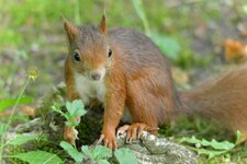 comp_DSC_3969.jpg