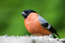 comp_EOS 5D Mark III-0476 - LR4.jpg