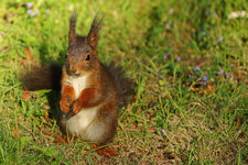 IMG_zzh8534.jpg