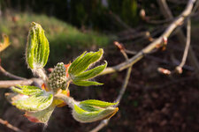 IMG_6519-2.jpg
