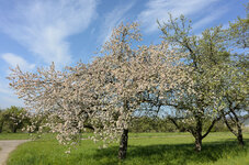 DSC_3179.jpg