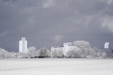 DSCF0780.jpg