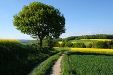 DSCF1668.jpg