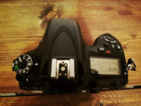 D600-3.jpg