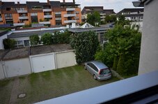 DSC_0321_1.jpg