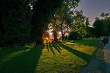 SDIM0033_.jpg