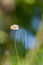 DSC_3917-2 k2.JPG