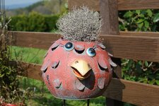 webDSC_7713.jpg