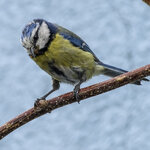 _D3S9054-1001.jpg