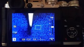 DSC_1195.JPG