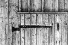 Holz3sw.jpg