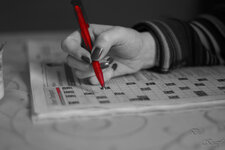 20130216-DSC03882.jpg