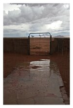Namib im Regen07.jpg