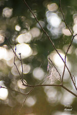 170617-Rumo-Zim044.jpg