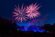 IMG_6363comp.jpg