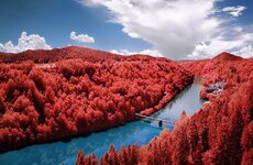 [Group 2]-DSC_2860_DSC_2900-41 images_processed2_REWORK_crop_flat_2_crop_dslr.jpg