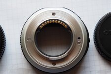 P7030007 (2).JPG