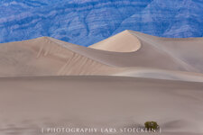 8L2A0790-Bearbeitet.jpg