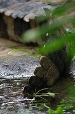 2017_04_17 12_27_24.JPG