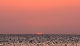 _DSC4750.jpg