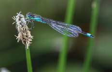 IMG_7712.JPG