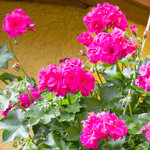 04_LR_rschuster-9150106.jpg