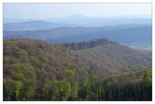 Illegale Forstnutzung02.jpg