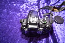 DSC_1216_1200.jpg