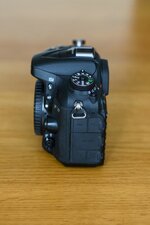 _DSC_0403.jpg