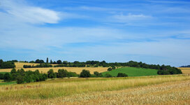 Homrich_bearbeitet-1.jpg