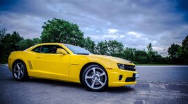 DSLRBumblebee.jpg