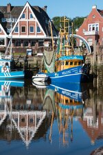 comp_IMG_9750.jpg