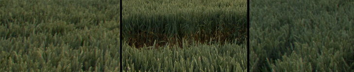 20170701-test.jpg