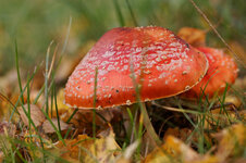 IMG_1276_DxO.jpg