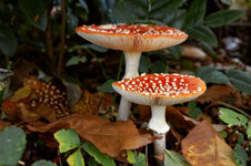 IMG_1291_DxO.jpg