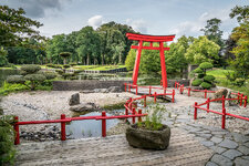 Sony-FE-2470-GM_5.jpg
