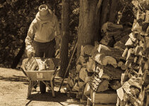 DSC09120sepia.jpg