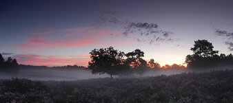 Pano kleine Heide 1.jpg