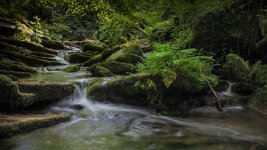 comp_St. Nectans Glen 3.jpg