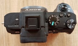 Sony Alpha 7II_9_1.jpg