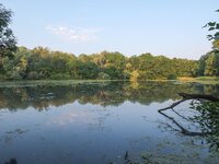 DSCF2737-conv.jpg